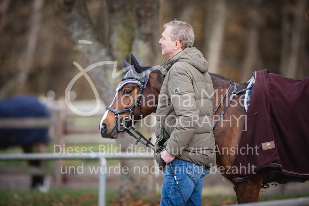 221127_Winterfestival_L-Spr_HPTTY-207 | Deine schönsten Turniermomente als professionelle Fotos! Entdecke hochwertige Pferdesport-Fotografie im Online-Shop. Jetzt Fotos finden & bestellen!