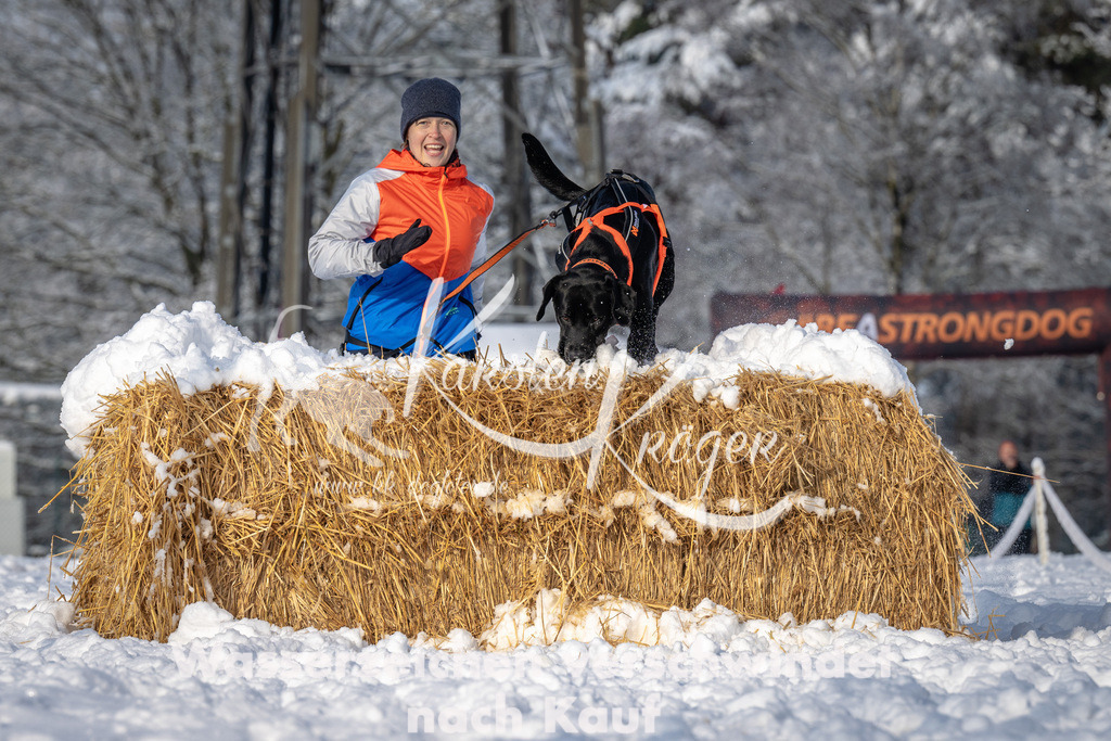 0916_ZZ93357 | kk-dogfotos