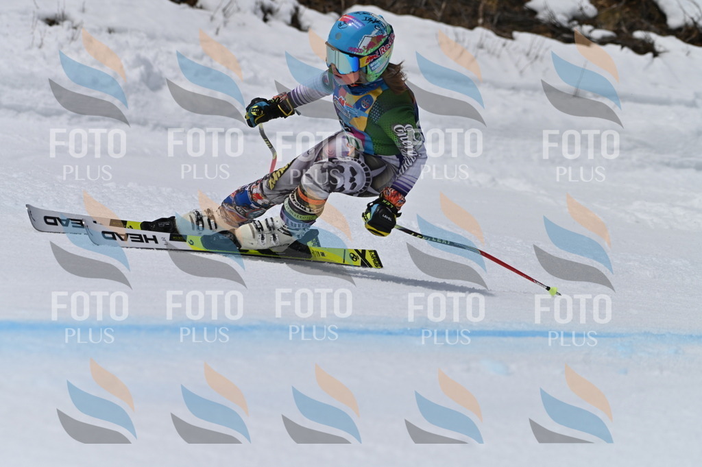 BGV_5800 | holidayphoto