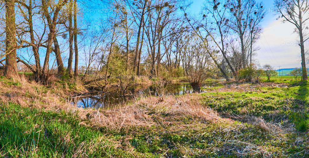 Am Altarm der Weißen Elster zwischen Bad Köstritz und Caaschwitz 01 | Bedeutsame Landschaften Deutschlands - Realisiert mit Pictrs.com