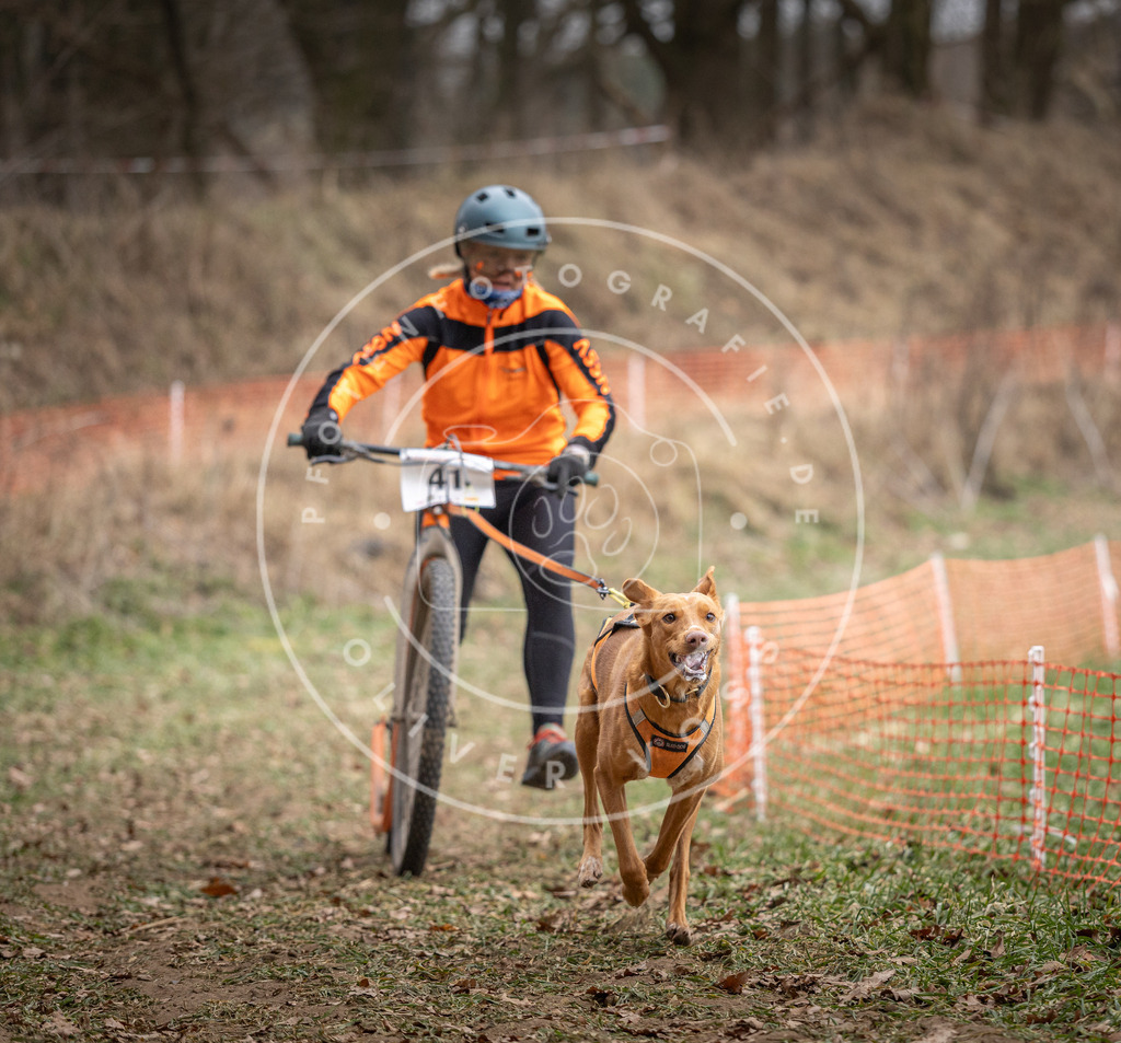 Pfotenfotografie_DV3A6555 | Hundefotografie, Tierfotograf, Pfotenfotografie, Fotoshooting Hund, Hunde Portrait, Hundesport, Hundeportraits, Heideshooting, Hunde, Sportfotograf, Hundefotograf, Turnierhundsport, THS,  - Realisiert mit Pictrs.com