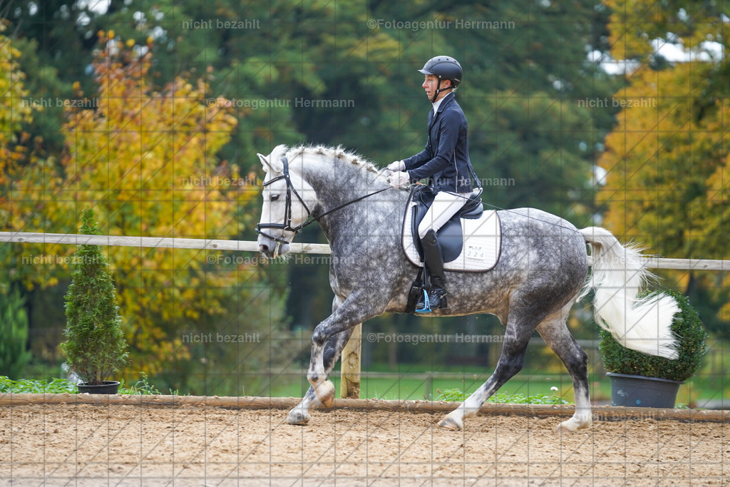 20221008-FAH00882 | Diessen am Ammersee, 2022, Dressur- und Springturnier, Reitsportbilder, Turnierfotografen Bayern, Pferdefotografen, Fotoagentur Herrmann, Turnierbilder