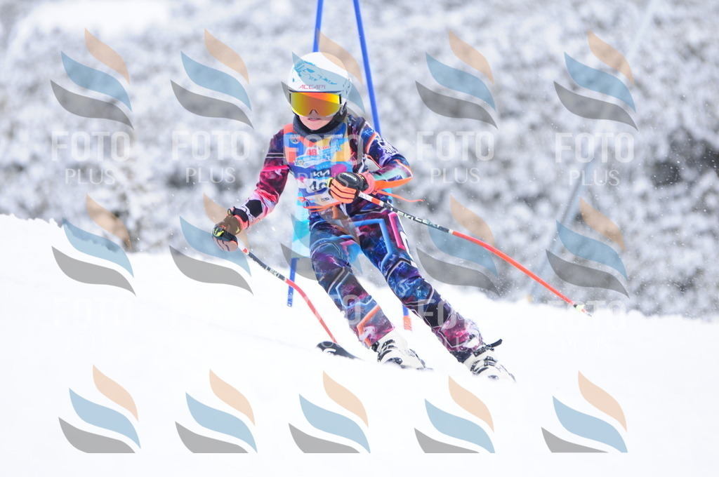 C4279 | holidayphoto