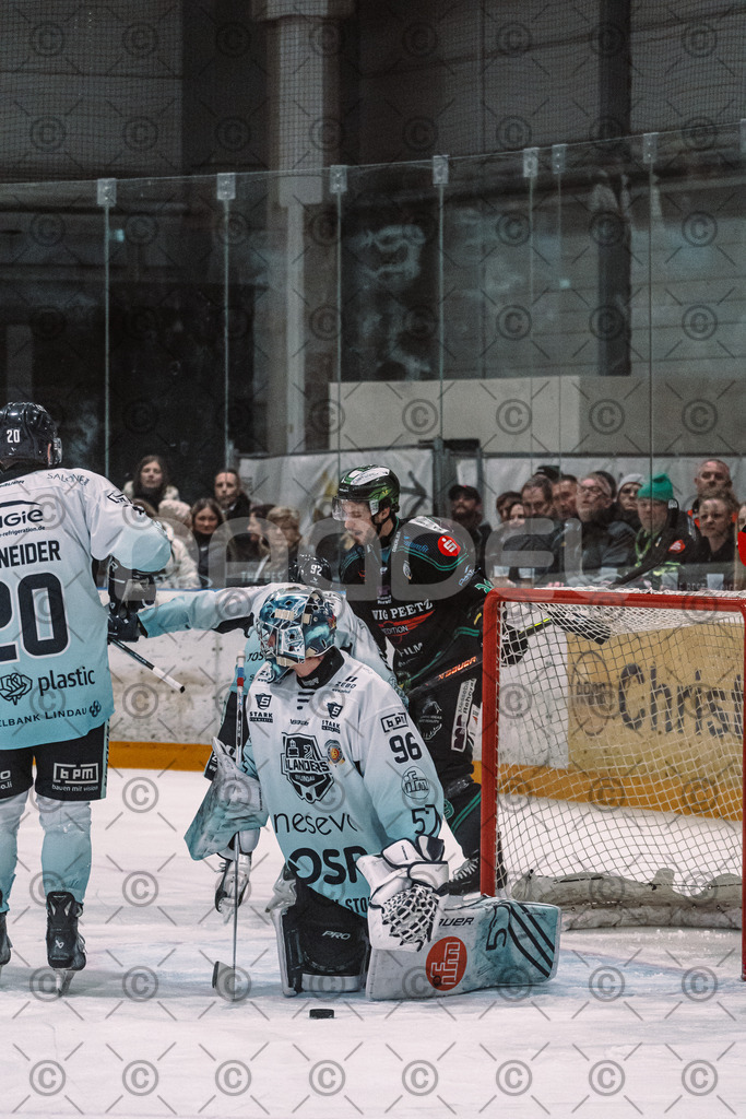 Alligators_vs_Lindau_20_02_2026-12 | Höchstadt Alligators Fotogalerie: Eishockey-Action aus Franken. Professionelle Spielfotos, Portraits & Stadionbilder zum Download. Jetzt entdecken! - Realisiert mit Pictrs.com