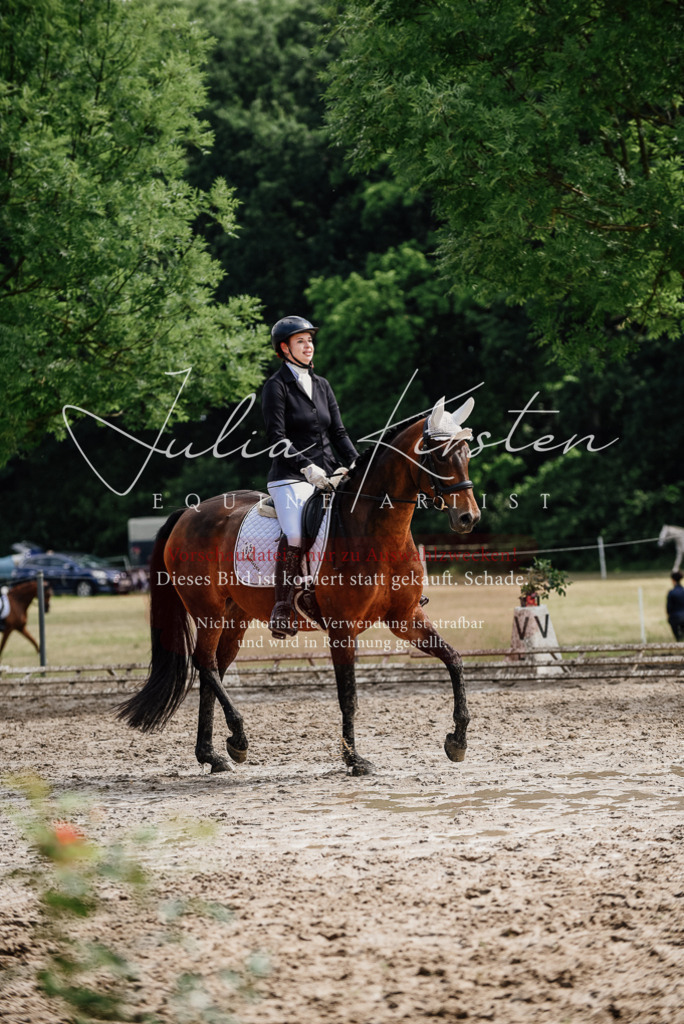 DSC_9873 | Pferde- und Turnierfotografie in Westsachsen. Pferdeportraits, Auftragszeichnungen und intuitive Kunst.
