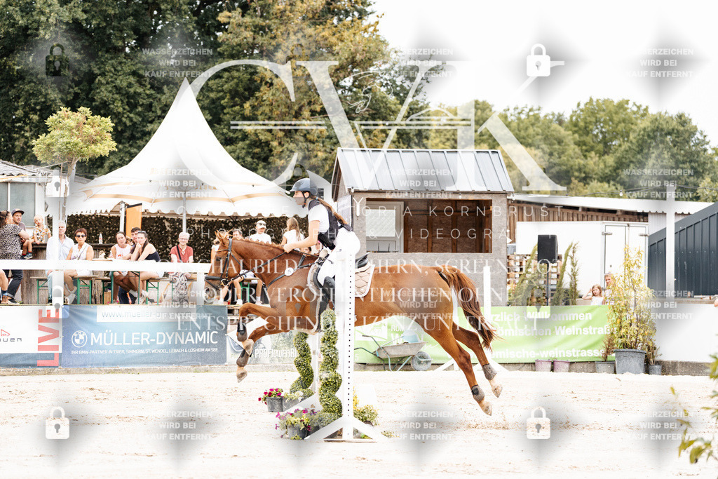 CK907895 | Turnierfotografie Pferdefotografie Trier Rheinland-Pfalz Pferdesport Reitsport Tierfotografie Sportfotografie Pferdevideo Pferdevideografie Equestrianvideography equestrianphotography  - Realisiert mit Pictrs.com