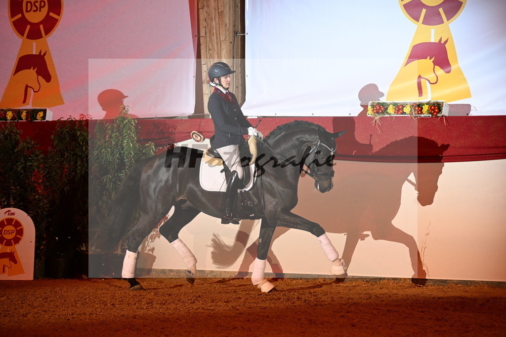 Boccacio_Fiedler_3262134 | hf-fotografie - Realisiert mit Pictrs.com