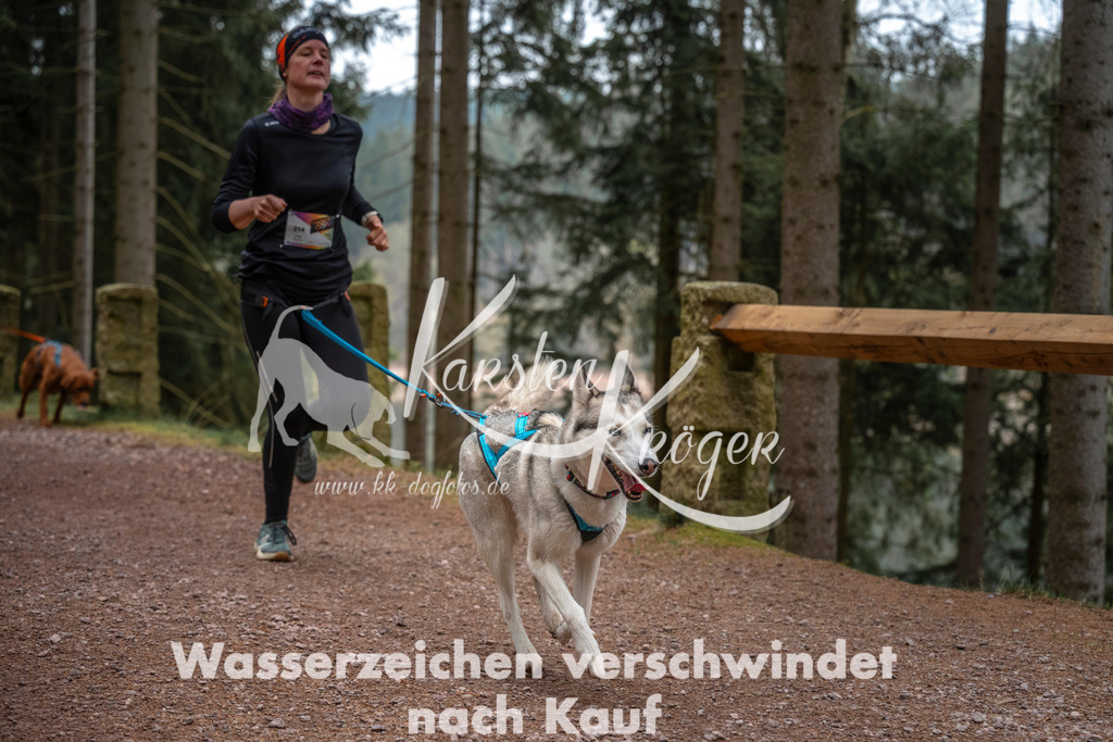 0805DZ6_2873 | kk-dogfotos