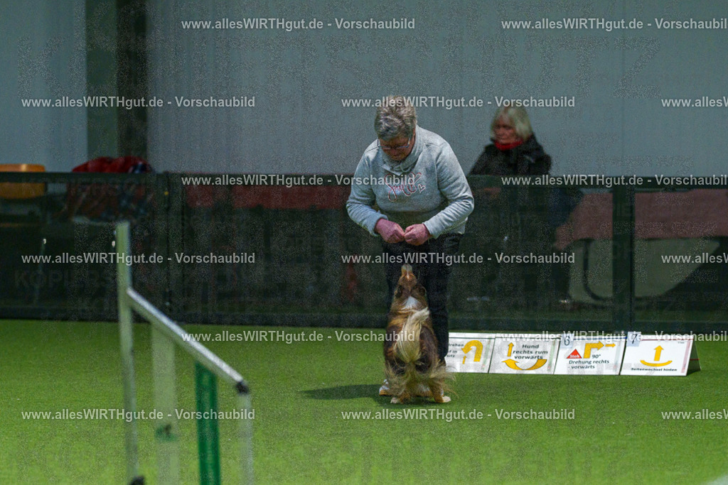 7R504834 | Professionelle Tierfotografie in Mönchengladbach von Daniel Wirth (allesWIRTHgut). Liebevolle & natürliche Bilder von Hunden & Katzen für unvergessliche Erinnerungen.