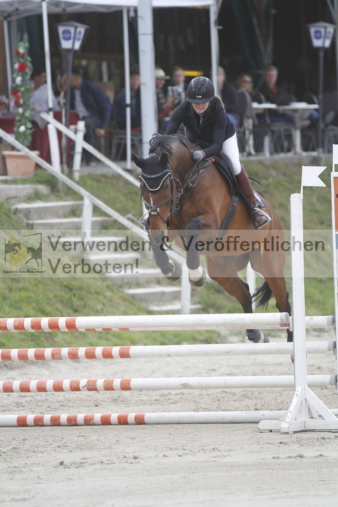 _MG_5187 | equestrian-live-com