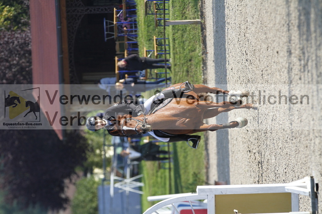 _MG_8416 | equestrian-live-com