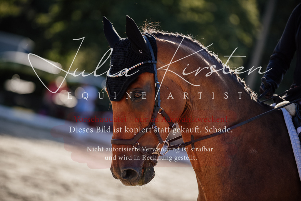 DSC_0667 | Pferde- und Turnierfotografie in Westsachsen. Pferdeportraits, Auftragszeichnungen und intuitive Kunst.