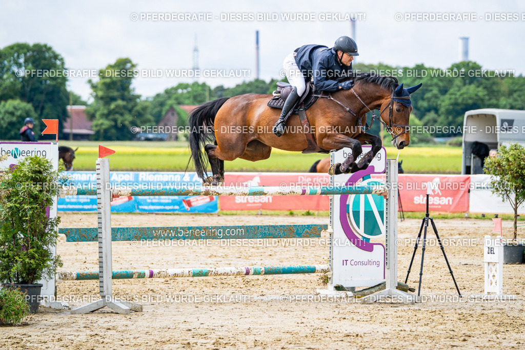 DSC04024 | Pferdegrafie