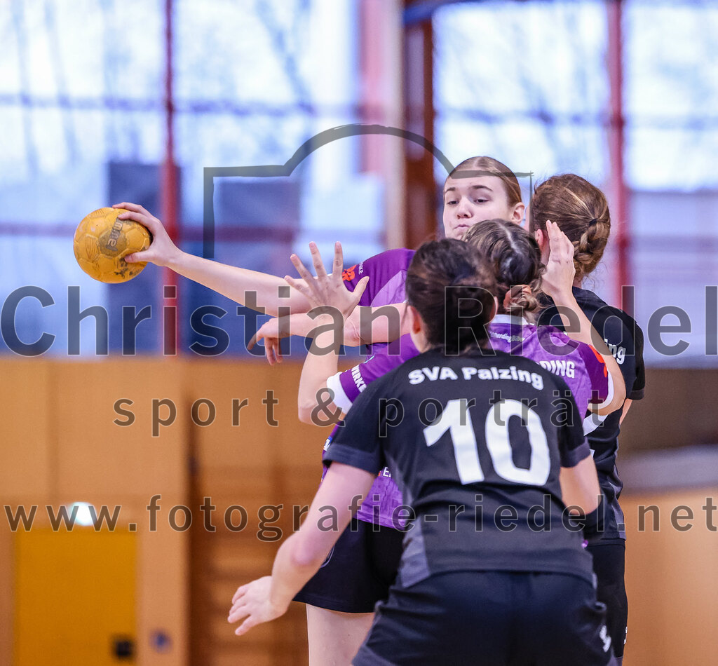 2024-12-14_060_SpVgg_Altenerding_gegen_SVA_Palzing | Erding, Deutschland, 14.12.2024:Handball, Bezirksoberliga Frauen Altbayern 2024 / 2024, 9. Spieltag, SpVgg Altenerding gegen SVA Palzing, Endergebnis: 20:30Greta Felbinger (SpVgg Altenerding, #4)Foto: Christian Riedel / fotografie-riedel.net