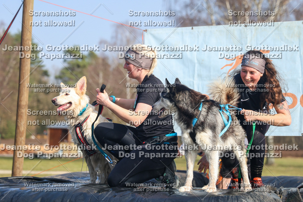 Dog Paparazzi - Strongdog North Mrz26-3110 | Dog Paparazzi Jeanette Grottendiek Fotografie & Videografie - Realisiert mit Pictrs.com
