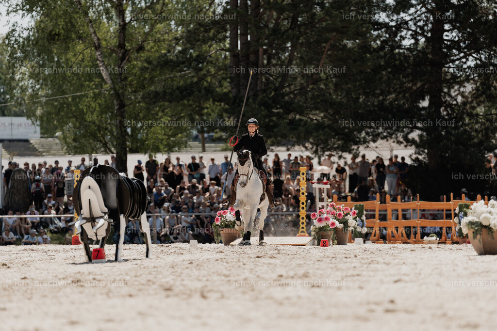 WE_SP_Stoib_312_PI2025_1652 | Pferd International München 2025