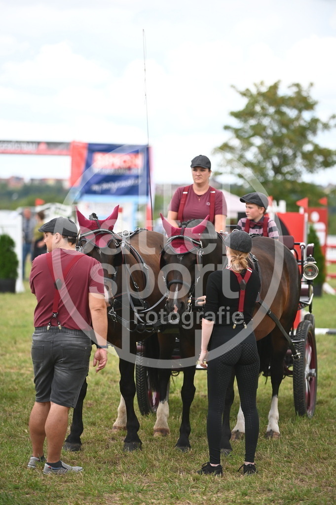 DSC_6704 | sattelsport - Realisiert mit Pictrs.com