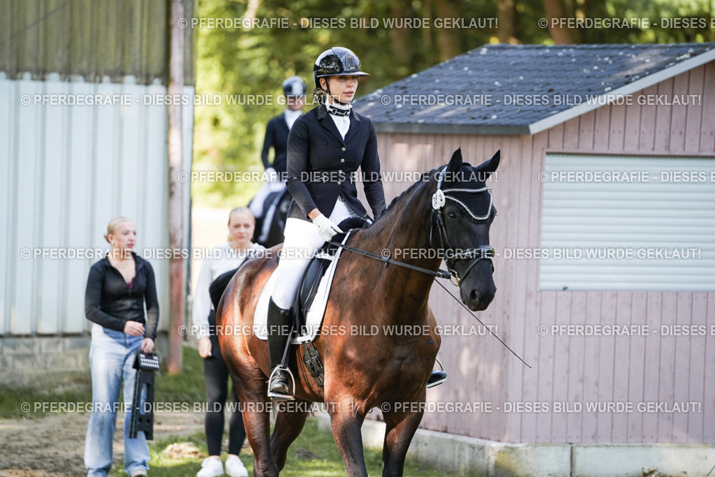 DSC07030 | Pferdegrafie