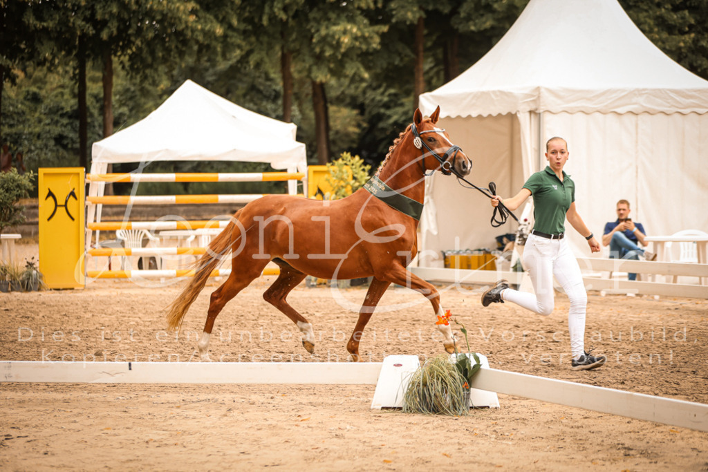 07.So00133 | Leoni Ertmer Photography - Realisiert mit Pictrs.com