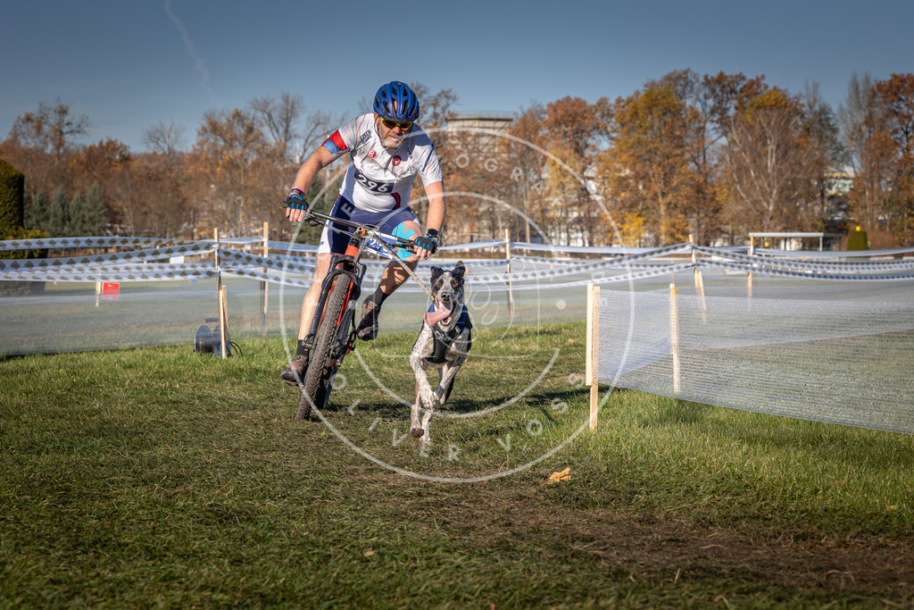 CaniXpix_0L8A5425 | Hundefotografie, Tierfotograf, Pfotenfotografie, Fotoshooting Hund, Hunde Portrait, Hundesport, Hundeportraits, Heideshooting, Hunde, Sportfotograf, Hundefotograf, Turnierhundsport, THS,  - Realisiert mit Pictrs.com