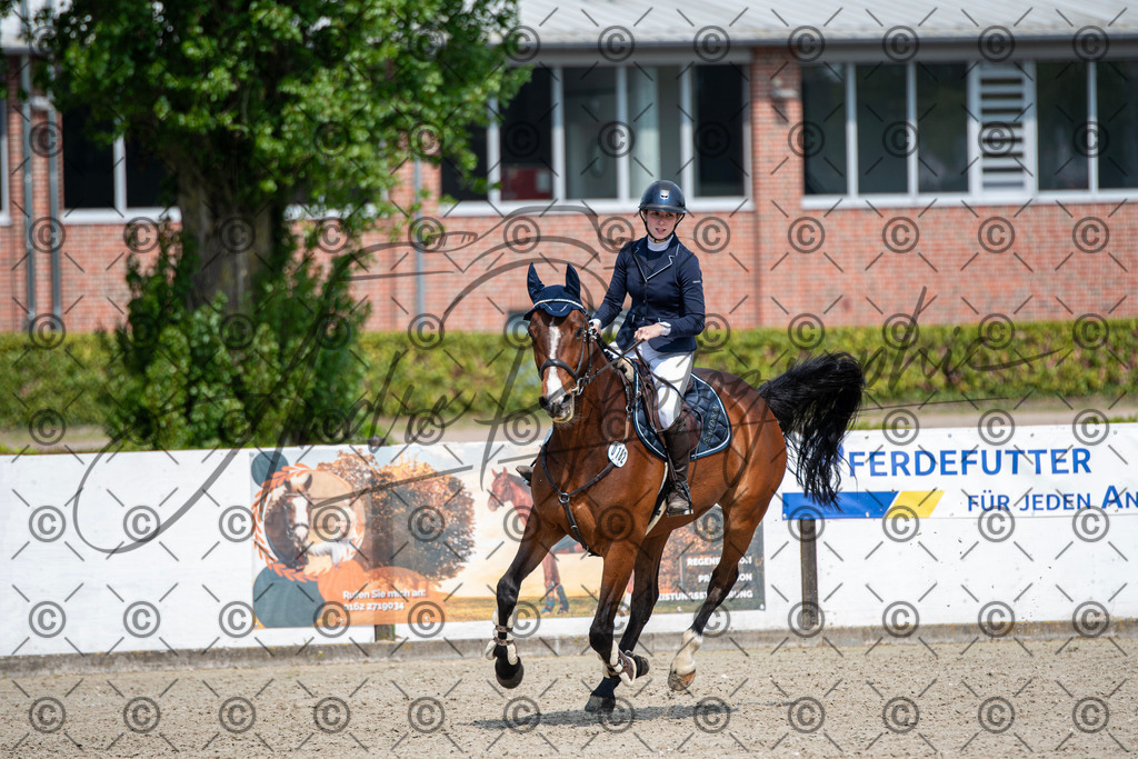 KPT_2648 | andre_photographic