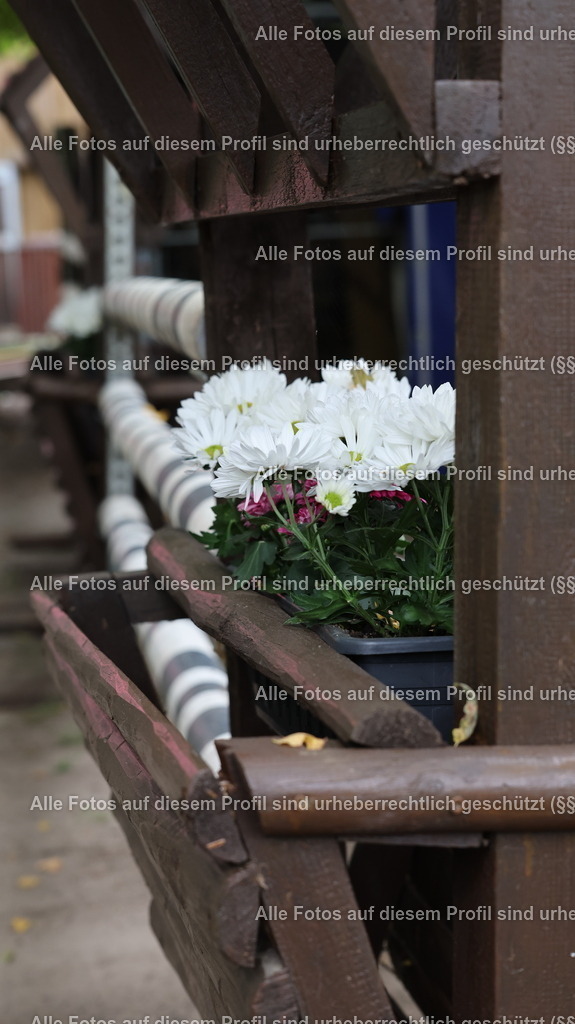 1P5A8261 | krollfotografie - Realisiert mit Pictrs.com