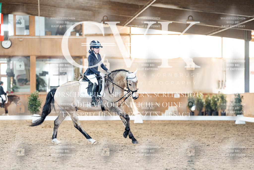 CK907404 | Turnierfotografie Pferdefotografie Trier Rheinland-Pfalz Pferdesport Reitsport Tierfotografie Sportfotografie Pferdevideo Pferdevideografie Equestrianvideography equestrianphotography  - Realisiert mit Pictrs.com
