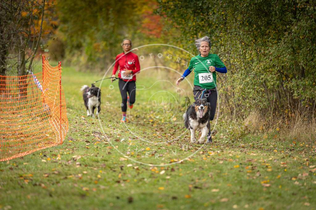 Pfotenfotografie_DV3A4119 | Hundefotografie, Tierfotograf, Pfotenfotografie, Fotoshooting Hund, Hunde Portrait, Hundesport, Hundeportraits, Heideshooting, Hunde, Sportfotograf, Hundefotograf, Turnierhundsport, THS,  - Realisiert mit Pictrs.com