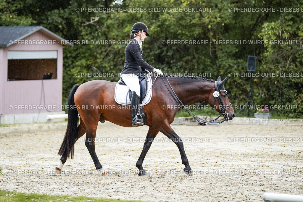 DSC00594 | Pferdegrafie