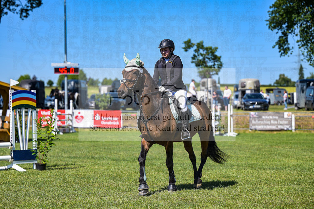 Reitturnier Voxtrup | Entdecke hochwertige Reitturnierfotos von Foto Oger. Professionell, emotional und authentisch – jetzt Lieblingsmomente im Shop bestellen.Deutschlandweite Turnierfotografie. - Realisiert mit Pictrs.com