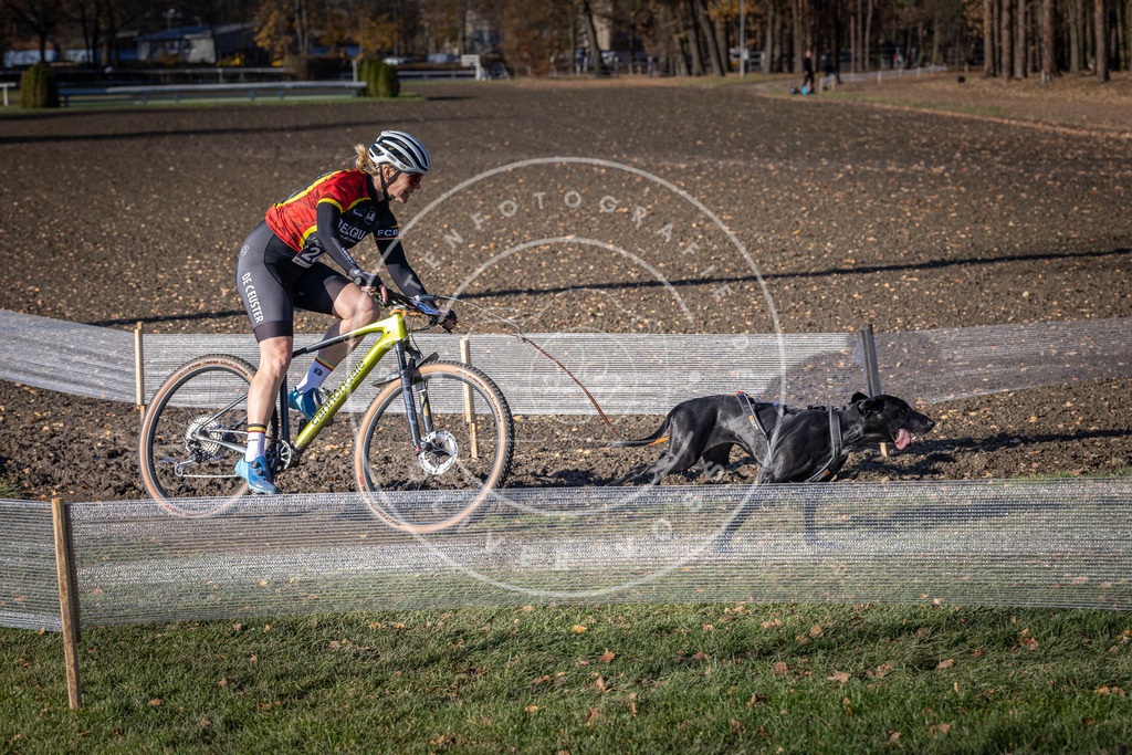CaniXpix_DV3A4912 | Hundefotografie, Tierfotograf, Pfotenfotografie, Fotoshooting Hund, Hunde Portrait, Hundesport, Hundeportraits, Heideshooting, Hunde, Sportfotograf, Hundefotograf, Turnierhundsport, THS,  - Realisiert mit Pictrs.com