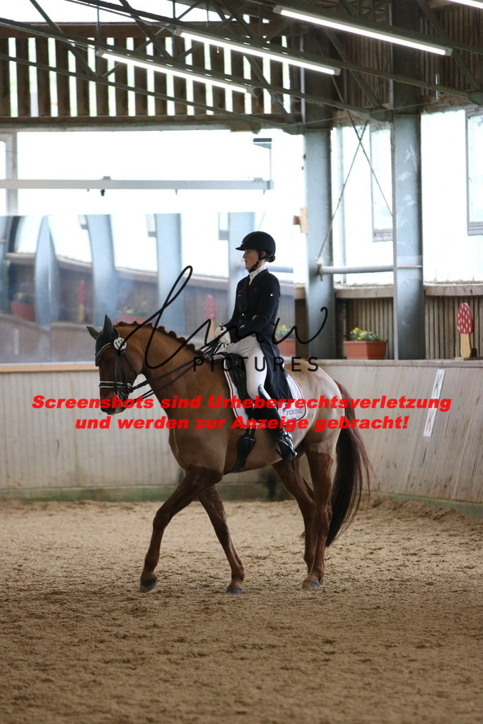 IMG_1149 | lmwpictures - Realisiert mit Pictrs.com