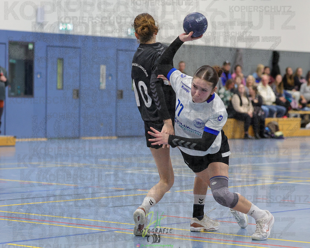 Frauen 2. Bezirksklasse, SG Rechtenbach - HSG Kleenheim/Langgöns III | Frauen 2. Bezirksklasse, SG Rechtenbach - HSG Kleenheim/Langgöns III am 16.11.2024 in Rechtenbach (Sporthalle Rechtenbach)Photo © 2024 - Jörg Heinrich - Realisiert mit Pictrs.com