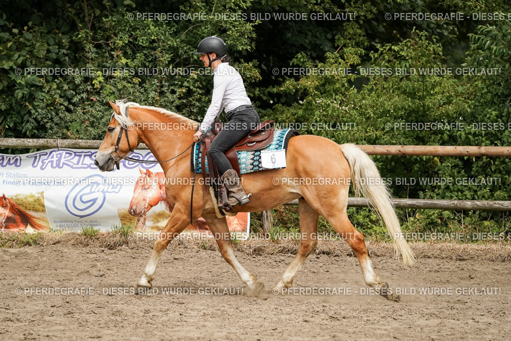 DSC00327 | Pferdegrafie