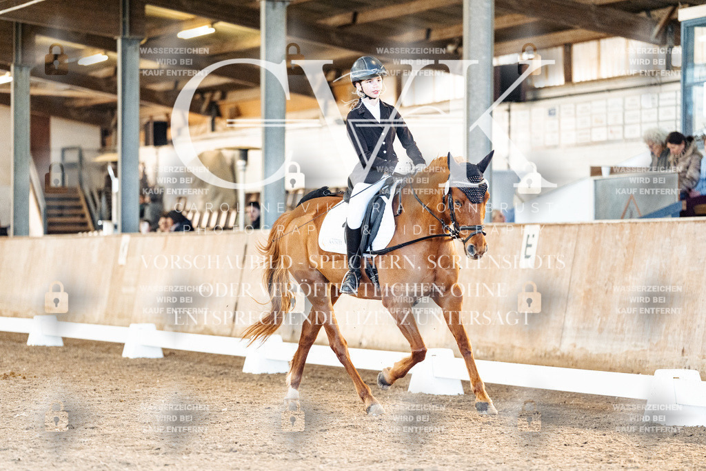 CK907884 | Turnierfotografie Pferdefotografie Trier Rheinland-Pfalz Pferdesport Reitsport Tierfotografie Sportfotografie Pferdevideo Pferdevideografie Equestrianvideography equestrianphotography  - Realisiert mit Pictrs.com
