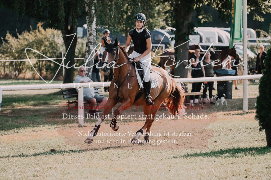 DSC_4646 | Pferde- und Turnierfotografie in Westsachsen. Pferdeportraits, Auftragszeichnungen und intuitive Kunst.