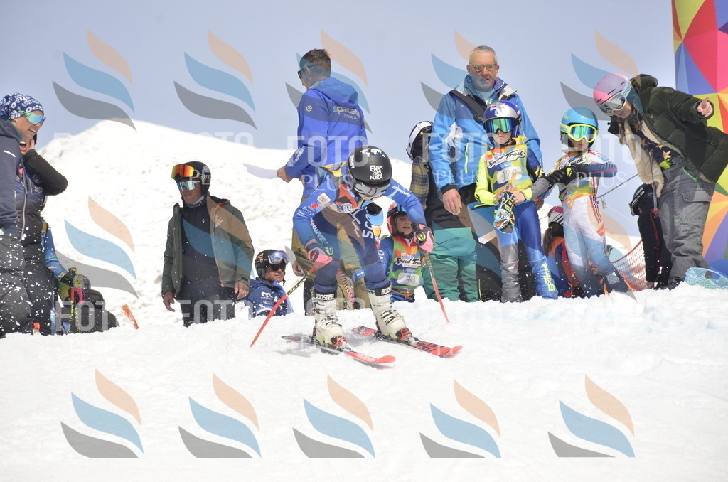 _ELE8809 | holidayphoto