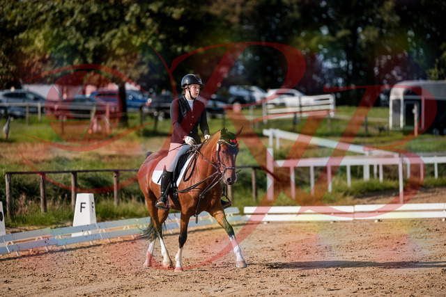 2026_10_03_Siefer-Hof_115506_Z63_30465302 | Professionelle Reitsport-, Turnier- und Eventfotografie von Robert Broda. Galerien mit ausgewählten und bearbeiteten Bildern direkt online ansehen und bestellen.