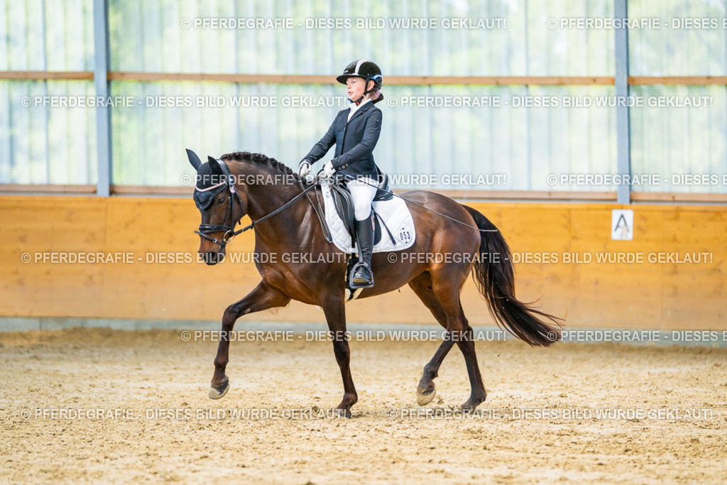 DSC07290 | Pferdegrafie