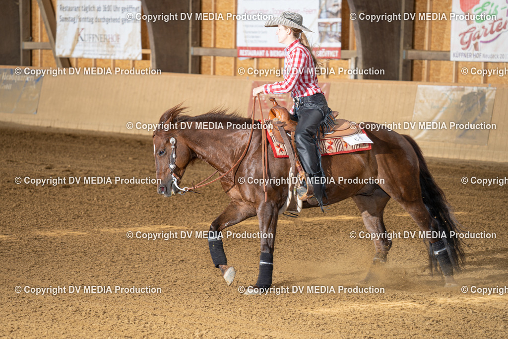 DSC00111 | dv-media-shop - Realisiert mit Pictrs.com