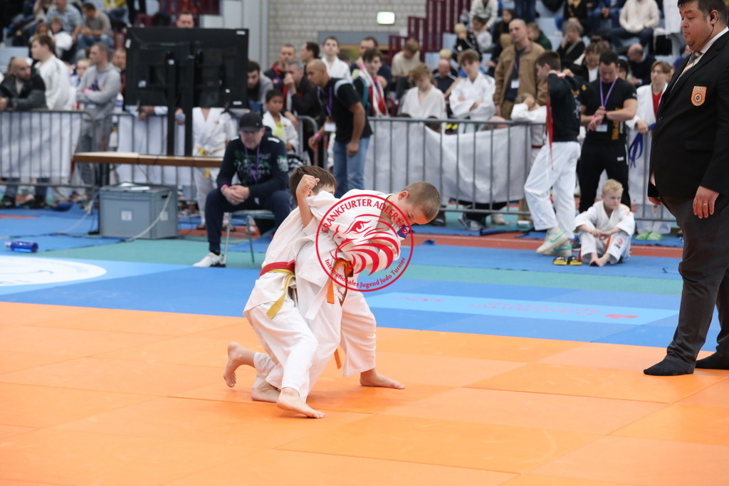 1J7A3231 | Fotos vom Adler Cup - Pictures from Adler Cup

Hier findet Ihr alle Eindrücke und großen Momente der Adler Cup Wochenenden. Here you will find all impressions and great moments of the Adler Cup weekends. - Realisiert mit Pictrs.com