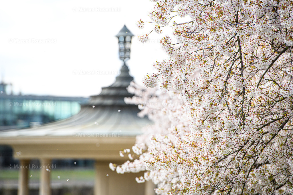 _DSC2483 (1) | foto-rosenfeld