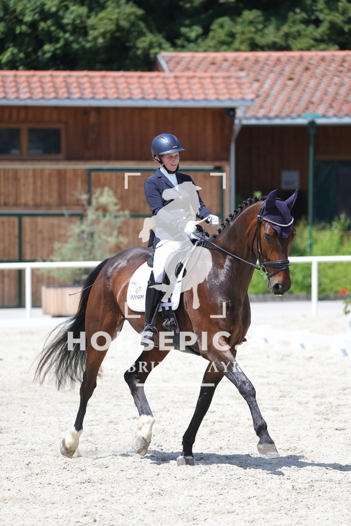 0P6A5427 | Willkommen bei Brunnmayr - Design & Fotografie – Ihrem Spezialisten für Reitturniere und Pferdeveranstaltungen in Oberösterreich, Salzburg und Bayern! Seit über 17 Jahren sind wir leidenschaftlich dabei.