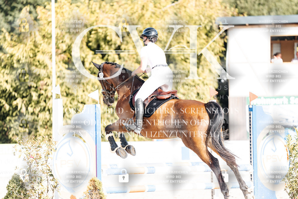 CK909462 | Turnierfotografie Pferdefotografie Trier Rheinland-Pfalz Pferdesport Reitsport Tierfotografie Sportfotografie Pferdevideo Pferdevideografie Equestrianvideography equestrianphotography  - Realisiert mit Pictrs.com