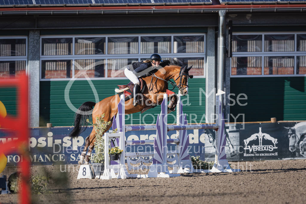 230411_Mühlen_04SprPf-L-494 | Deine schönsten Turniermomente als professionelle Fotos! Entdecke hochwertige Pferdesport-Fotografie im Online-Shop. Jetzt Fotos finden & bestellen!