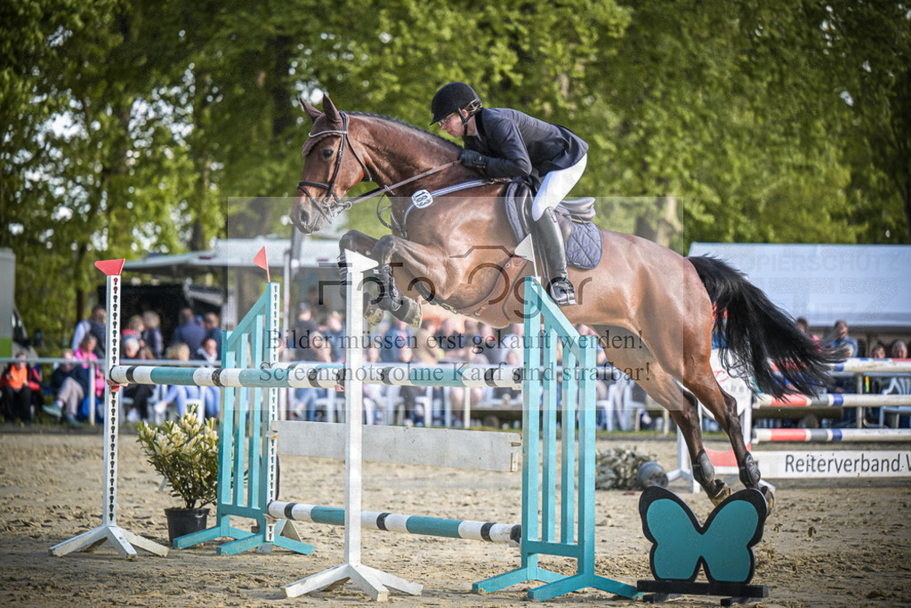DOS_4113 | Entdecke hochwertige Reitturnierfotos von Foto Oger. Professionell, emotional und authentisch – jetzt Lieblingsmomente im Shop bestellen.Deutschlandweite Turnierfotografie. - Realisiert mit Pictrs.com