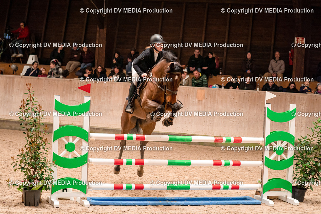 Springen Tag 2-601 | dv-media-shop - Realisiert mit Pictrs.com