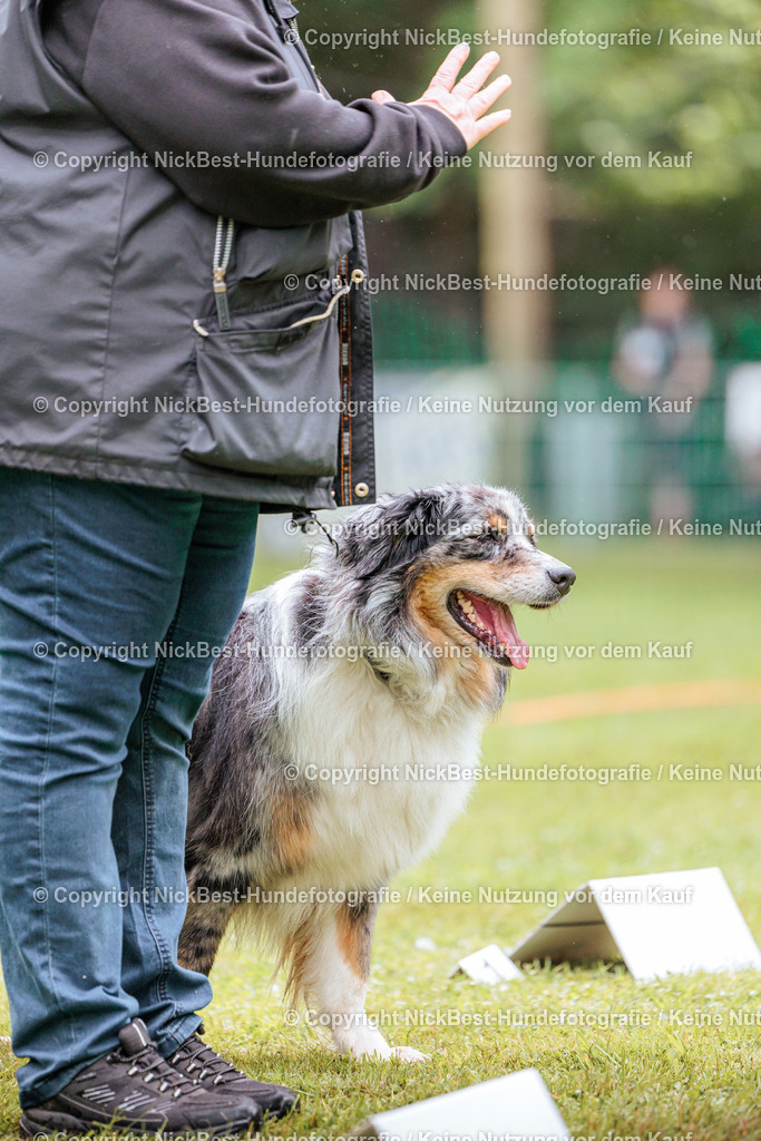 RO-Blumenthal-2026-Nickbest-Hundefotografie-3593 | Dein Hund! Dein Moment! Deine Erinnerungen! Hundefotografie in Bremen Blumenthal. Ich fange die besonderen Momente deines Vierbeiners ein – ob Indoor mit Blitzanlage oder in der freien Natur. Sicher dir dein Moment und dein Termin für eure Erinnerungen.