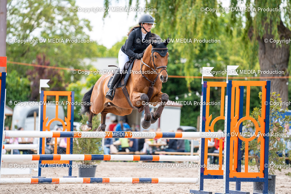 Eppelheim Tag 2-576 | dv-media-shop - Realisiert mit Pictrs.com