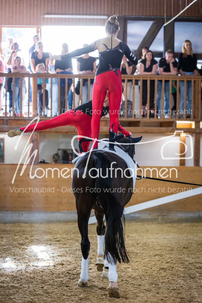 GS-NS-056 | MomenTaufnahmen Pferdesportfotos